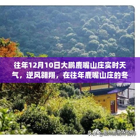 往年鹿嘴山莊冬日暖陽，逆風(fēng)翱翔，自信與成就感的魔法時刻