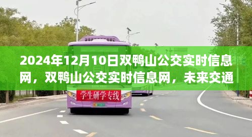 雙鴨山公交實時信息網(wǎng)，智能導(dǎo)航引領(lǐng)未來交通出行