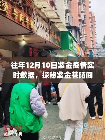 紫金巷疫情下的溫暖角落，疫情實時數(shù)據(jù)與特色小店探秘