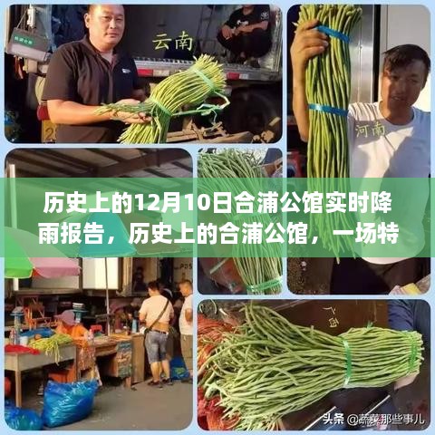 歷史上的合浦公館，一場特別的12月10日實時降雨報告分析