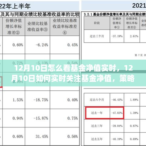 12月10日基金凈值實時關(guān)注策略與技巧，如何掌握基金動態(tài)