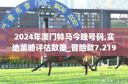 2024年澳門特馬今晚號碼,實地策略評估數(shù)據(jù)_冒險款7.219