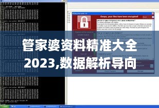 管家婆資料精準大全2023,數(shù)據(jù)解析導向策略_XP7.753