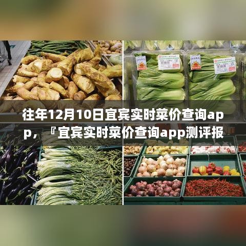 宜賓實時菜價查詢app歷年功能深度解析與用戶體驗洞察測評報告，宜賓歷年菜價變遷一覽無余！