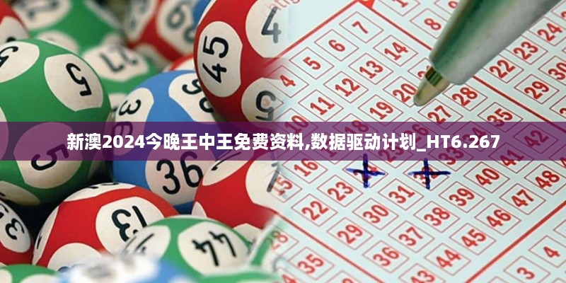 新澳2024今晚王中王免費資料,數(shù)據(jù)驅動計劃_HT6.267