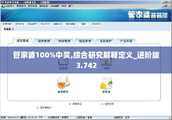 管家婆100%中獎(jiǎng),綜合研究解釋定義_進(jìn)階版3.742