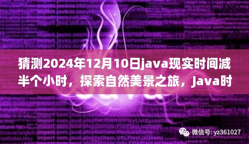 Java時間減半小時，探索自然美景之旅，尋找內(nèi)心的寧靜與平和之旅