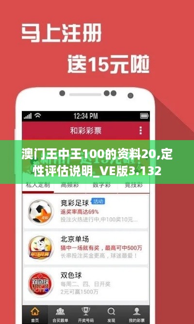 澳門王中王100的資料20,定性評(píng)估說(shuō)明_VE版3.132