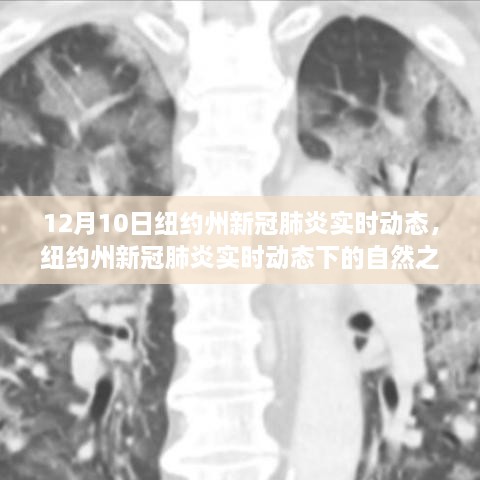 紐約州新冠疫情實(shí)時(shí)動(dòng)態(tài)下的自然之旅，尋找心靈寧靜與平和