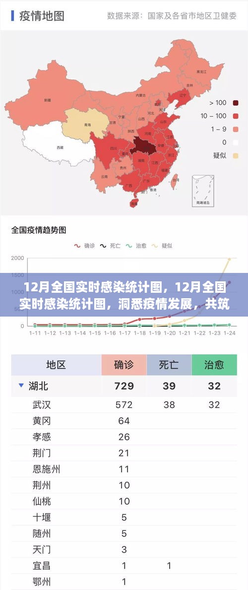12月全國實(shí)時(shí)感染統(tǒng)計(jì)圖，洞悉疫情，共筑防控新防線