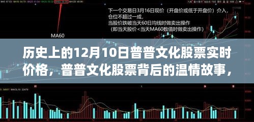 普普文化股票實(shí)時(shí)價(jià)格背后的溫情故事，友情與陪伴的溫馨日常紀(jì)實(shí)（十二月十日歷史回顧）