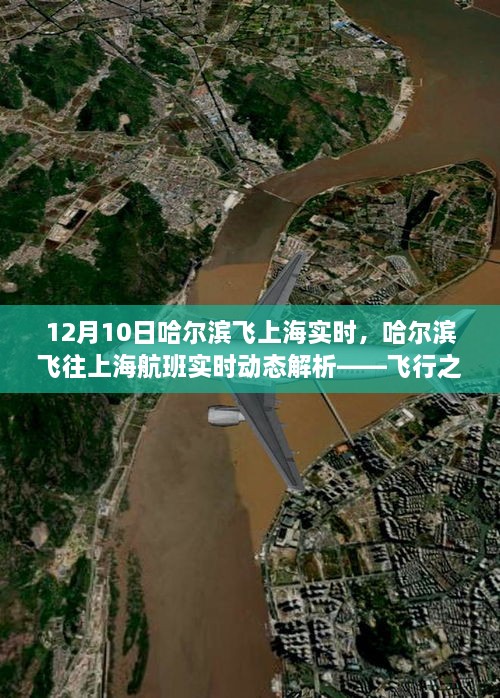 哈爾濱飛往上海航班實時動態(tài)解析，飛行之旅三大要點探討
