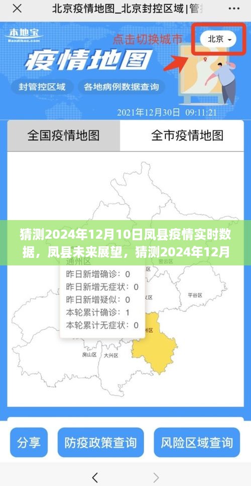 鳳縣未來展望，預(yù)測疫情實(shí)時數(shù)據(jù)背后的故事