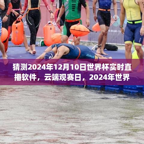 云端觀賽日，世界杯與直播軟件的奇妙之旅 2024年世界杯預測直播體驗