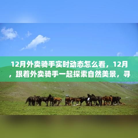 跟著外賣騎手探索自然美景，12月實時動態(tài)與心靈之旅