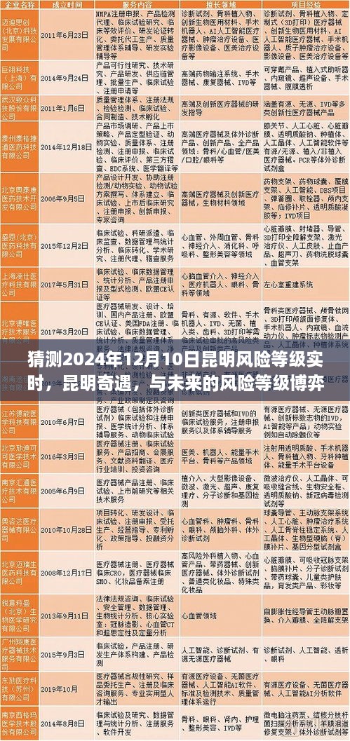 昆明奇遇，預測與博弈未來的風險等級