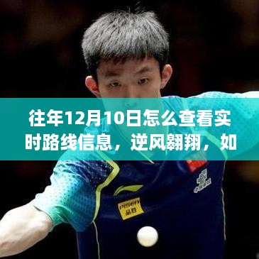 往年12月10日實時路線信息掌握攻略，逆風翱翔，開啟自信成就之旅！