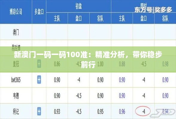新澳門一碼一碼100準：精準分析，帶你穩(wěn)步前行