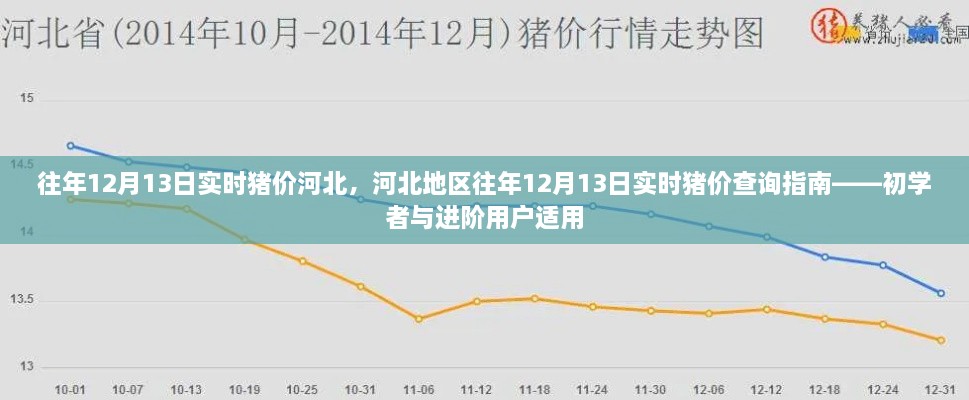 河北地區(qū)歷年12月13日實(shí)時(shí)豬價(jià)查詢(xún)指南，初學(xué)者與進(jìn)階用戶(hù)必備參考