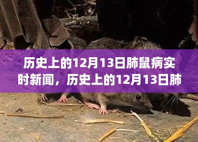 歷史上的肺鼠疫疫情回顧，12月13日實時新聞追蹤