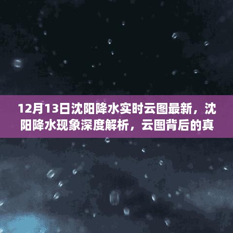 沈陽降水現(xiàn)象深度解析，實時云圖最新數(shù)據(jù)與觀點碰撞揭秘