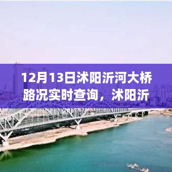 沭陽沂河大橋?qū)崟r路況深度解析，影響與價值探討