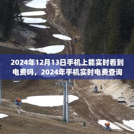 2024年手機實時電費查詢，便捷生活一觸即發(fā)