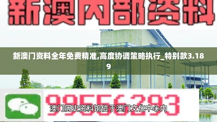 新澳門資料全年免費精準(zhǔn),高度協(xié)調(diào)策略執(zhí)行_特別款3.189