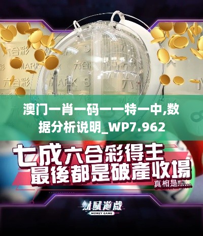 澳門一肖一碼一一特一中,數(shù)據(jù)分析說(shuō)明_WP7.962