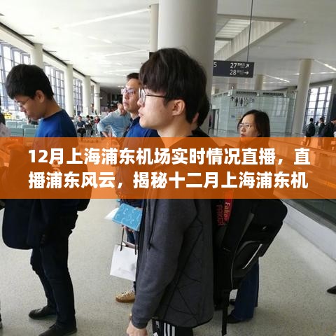 揭秘十二月上海浦東機場實時動態(tài)，直播浦東風(fēng)云實況