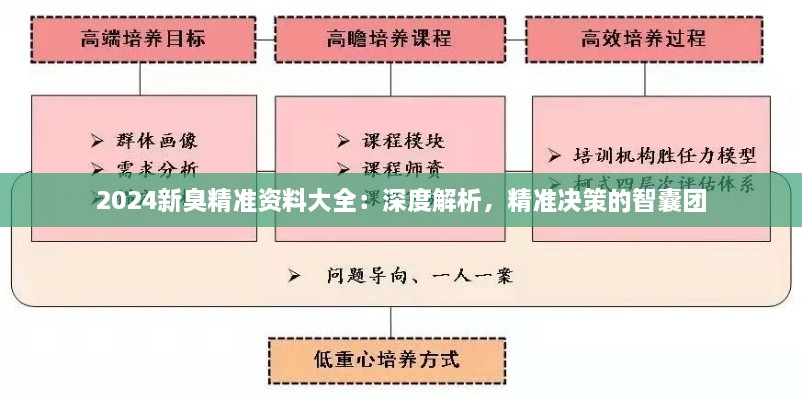 2024新臭精準(zhǔn)資料大全：深度解析，精準(zhǔn)決策的智囊團(tuán)