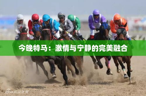 今晚特馬：激情與寧?kù)o的完美融合
