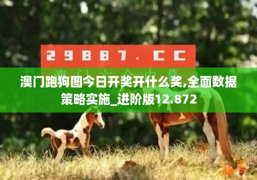 澳門跑狗圖今日開獎開什么獎,全面數據策略實施_進階版12.872