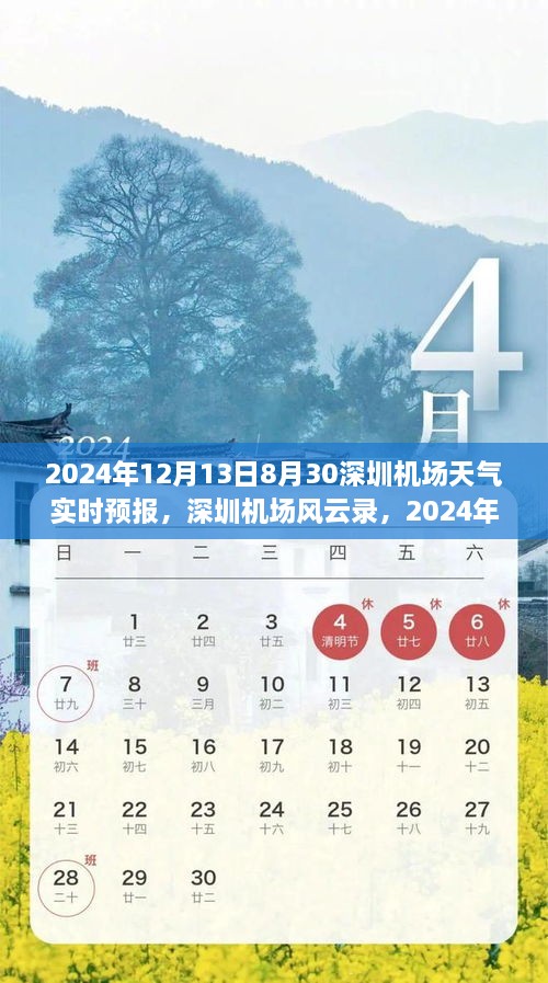 深圳機(jī)場(chǎng)天氣預(yù)報(bào)紀(jì)實(shí)，風(fēng)云變幻下的航班動(dòng)態(tài)與影響