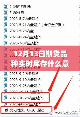 揭秘期貨品種實(shí)時(shí)庫(kù)存，解讀與理解實(shí)時(shí)庫(kù)存信息，適合初學(xué)者與進(jìn)階用戶指南
