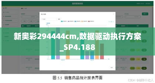 新奧彩294444cm,數(shù)據(jù)驅(qū)動(dòng)執(zhí)行方案_SP4.188