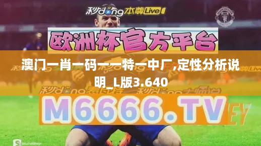 澳門(mén)一肖一碼一一特一中廠,定性分析說(shuō)明_L版3.640