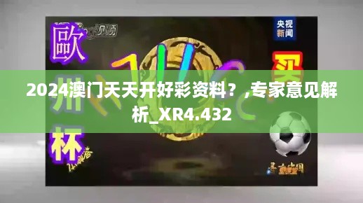 2024澳門天天開好彩資料？,專家意見解析_XR4.432