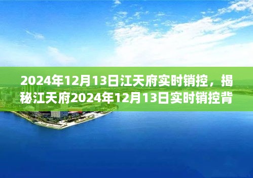 揭秘江天府實(shí)時(shí)銷控背后的秘密，深度解析2024年12月13日數(shù)據(jù)動(dòng)態(tài)與趨勢分析
