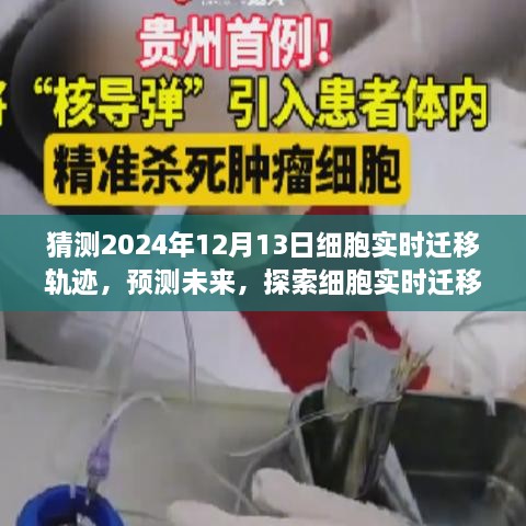 探索未來，預(yù)測細(xì)胞實(shí)時(shí)遷移軌跡技術(shù)——以2024年細(xì)胞遷移軌跡產(chǎn)品為例的預(yù)測分析