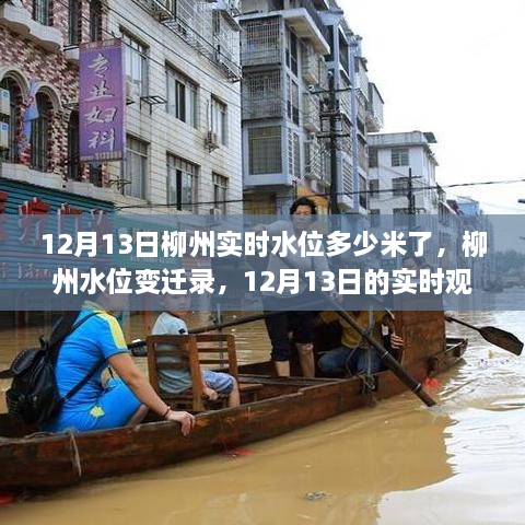 柳州水位變遷錄，深度解讀與實時觀察，柳州實時水位最新報告（12月13日）