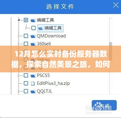 十二月服務(wù)器數(shù)據(jù)實(shí)時(shí)備份與自然美景探索，尋找內(nèi)心的寧?kù)o和平和之路