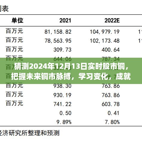 揭秘2024年12月13日股市銅市走向，洞悉變化成就投資夢想