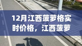 江西菠蘿格市場，實時價格解析與變化中的力量與自信成就之舞