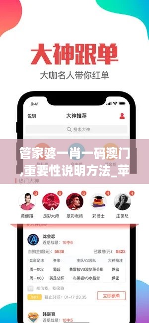 管家婆一肖一碼澳門,重要性說明方法_蘋果4.610