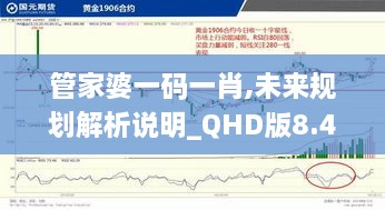 管家婆一碼一肖,未來(lái)規(guī)劃解析說(shuō)明_QHD版8.434