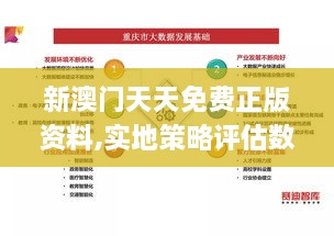 新澳門天天免費(fèi)正版資料,實(shí)地策略評(píng)估數(shù)據(jù)_7DM1.701