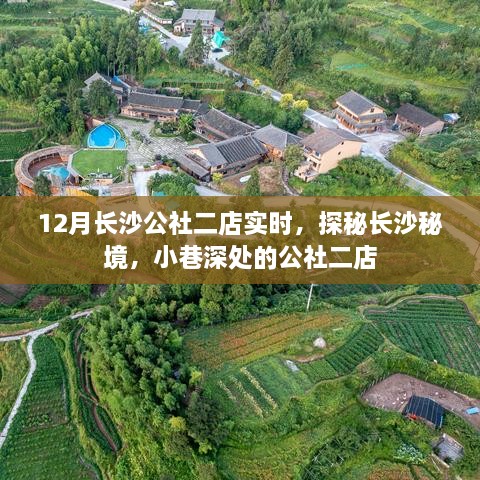 探秘長沙秘境，公社二店12月實(shí)時(shí)探訪指南