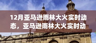亞馬遜雨林大火實時動態(tài)，背景、事件、影響與時代地位