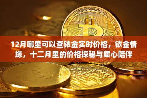 十二月銥金實(shí)時(shí)價(jià)格探秘，情緣與暖心陪伴的旅程